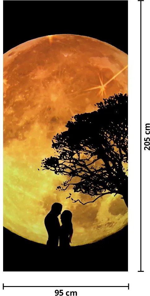 Fototapet pentru ușă - Umbre la lumina lunii (95x205cm)