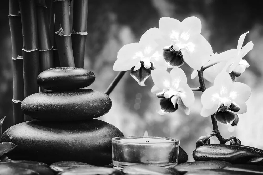 Tablou spa natura moartă în design alb-negru