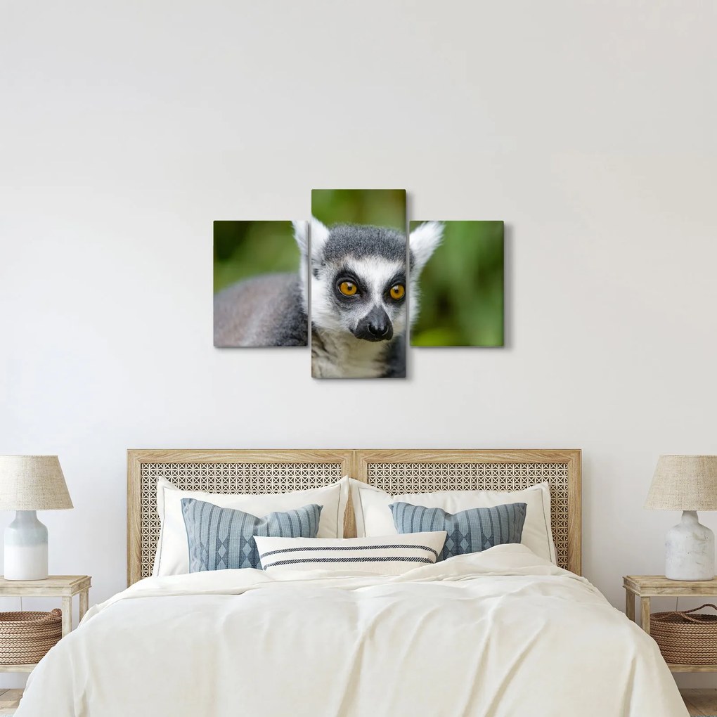 Tablou cu lemur (90x60 cm)