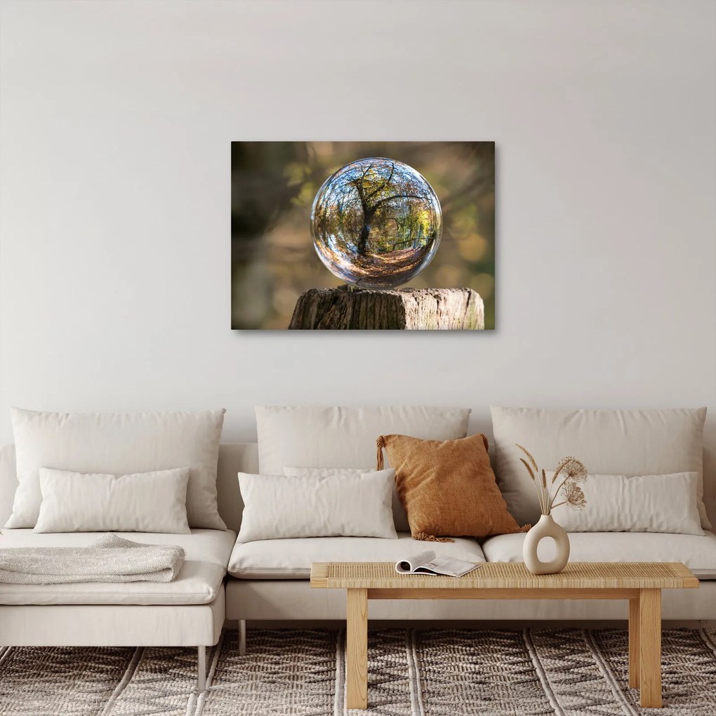Tablou - Reflecție intr-o sferă transparentă (70x50 cm)