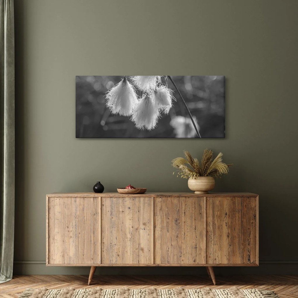 Tablou - Iarba de bumbac (120x50 cm)