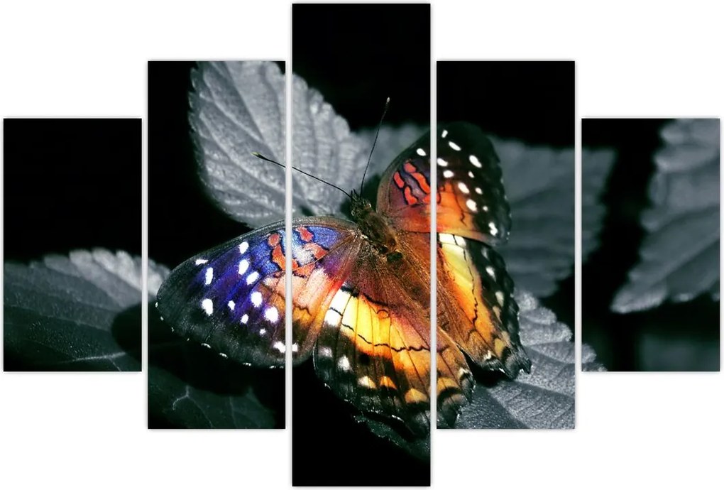 Tablou cu fluture (150x105 cm)