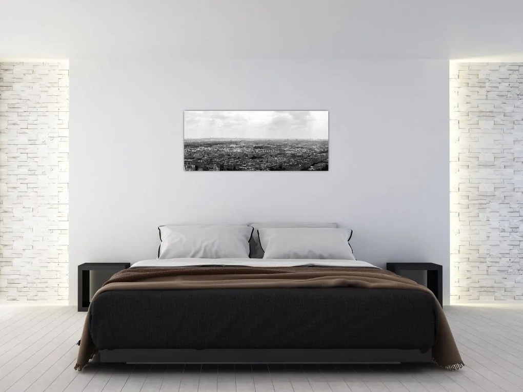 Tablou - Acoperișuri clădirilor din Paris (120x50 cm)