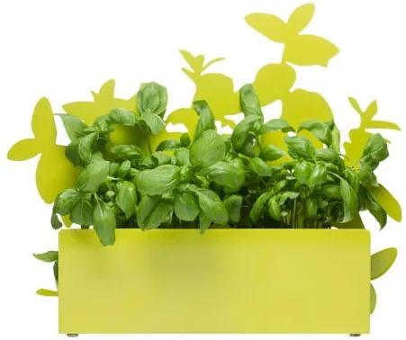 Suport pentru plante aromatice Sagaform Herb,, verde