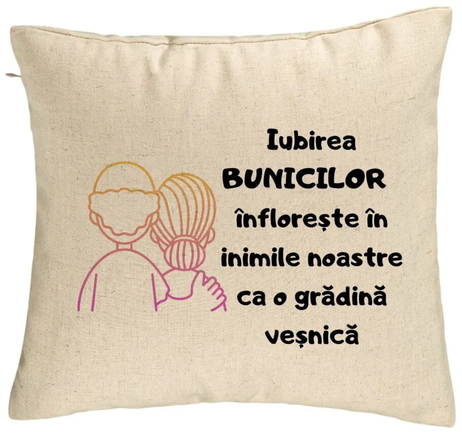 Perna Decorativa pentru Bunici 10, 40x40 cm, Bej, Husa Detasabila, Burduf