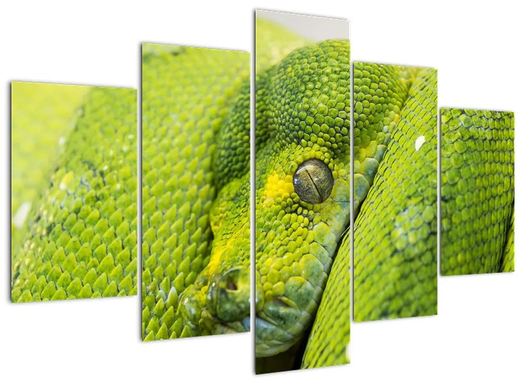 Tablou cu șarpe (150x105 cm)