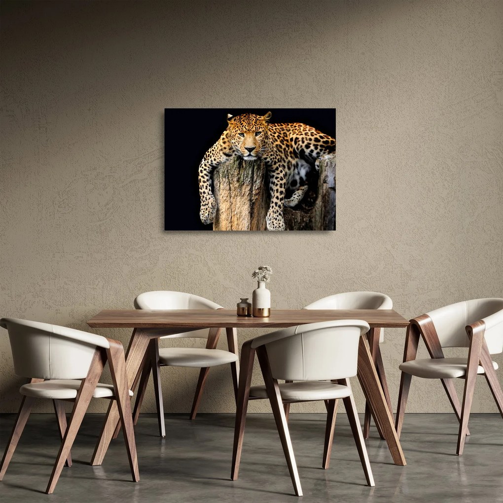 Tablou pe sticlă - Ghepard (70x50 cm)