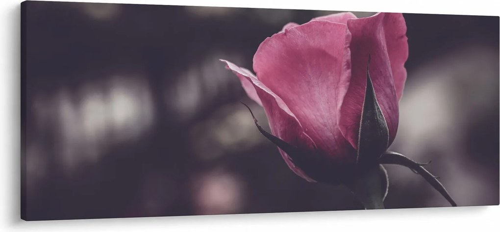 Tablou - Detaliu florii de trandafir (120x50 cm)