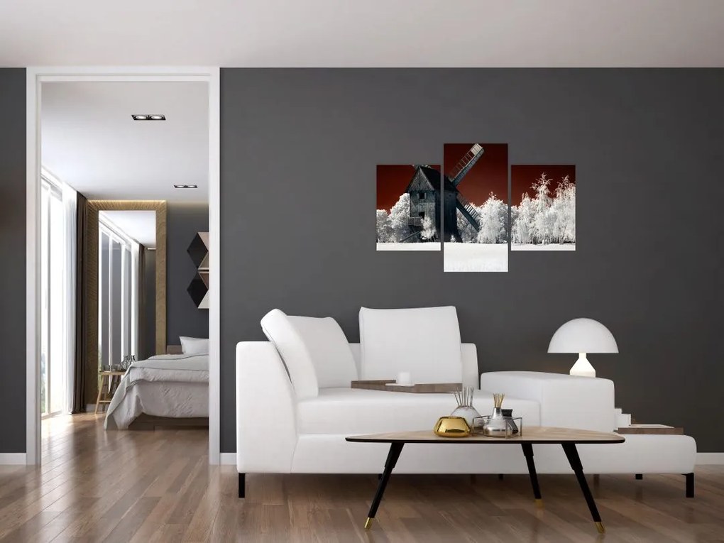 Tablou cu moară (90x60 cm)