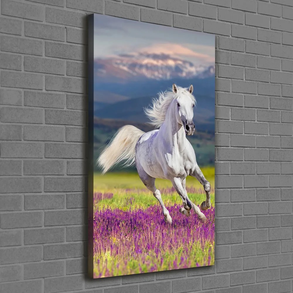 Pictură pe pânză Cal alb în galop