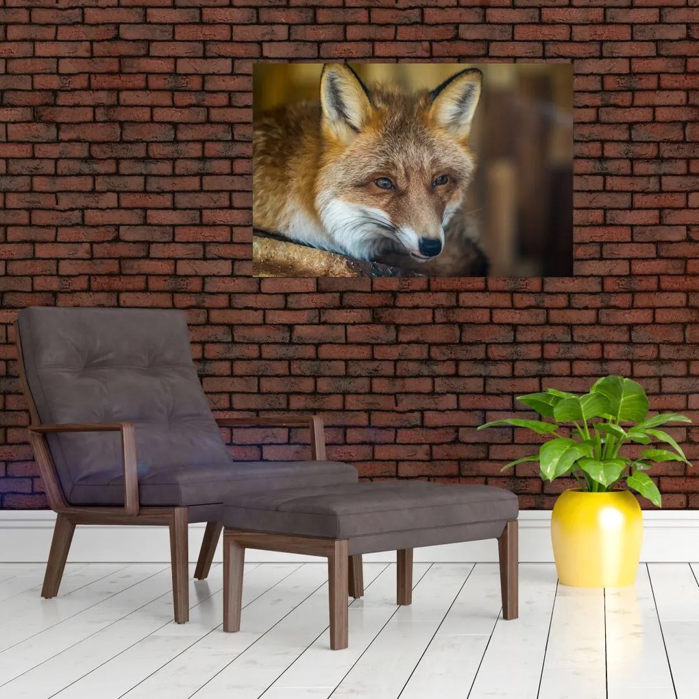 Tablou cu vulpe (90x60 cm)