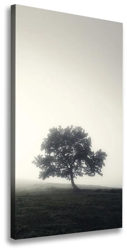 Tablou canvas Arborele în ceață