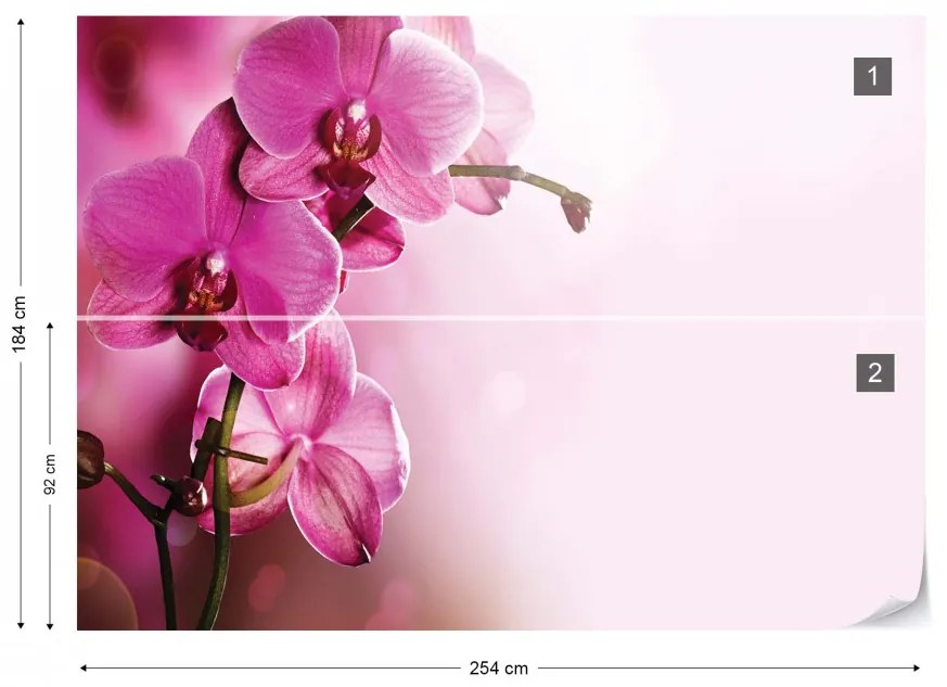 Pink Orchids Flowers Photo Wallpaper Wall Mural