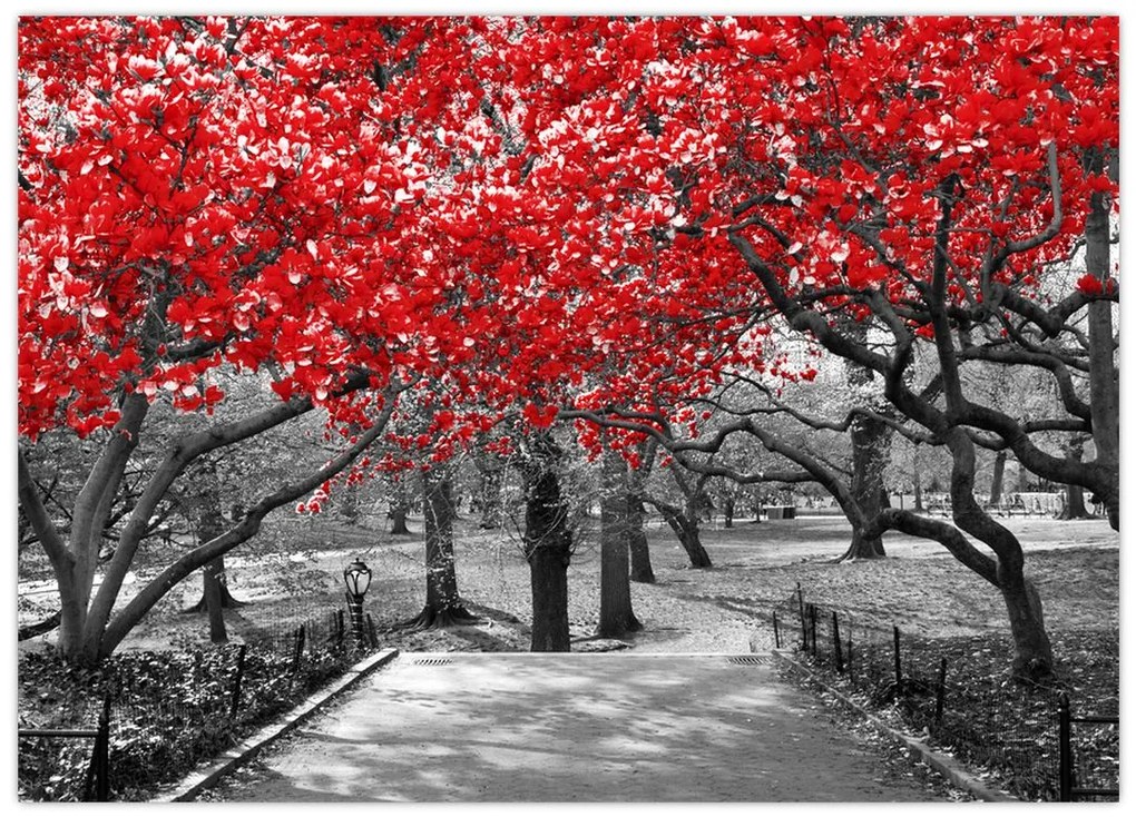 Tablou pe sticlă - Copaci roșii, Central Park, New York (70x50 cm)