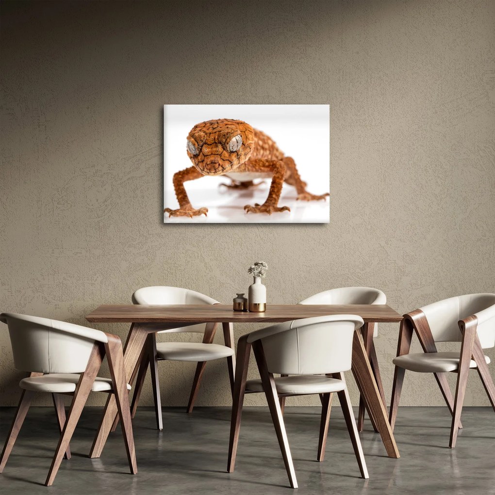 Tablou cu șopârlă (70x50 cm)