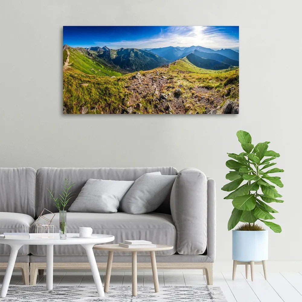 Tablou canvas Panorama de munte