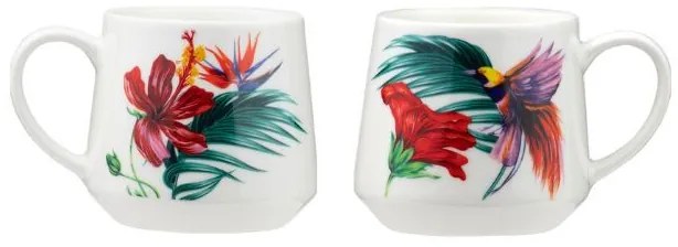 Cana 460ml, pasare Colibri, Tropical Birds