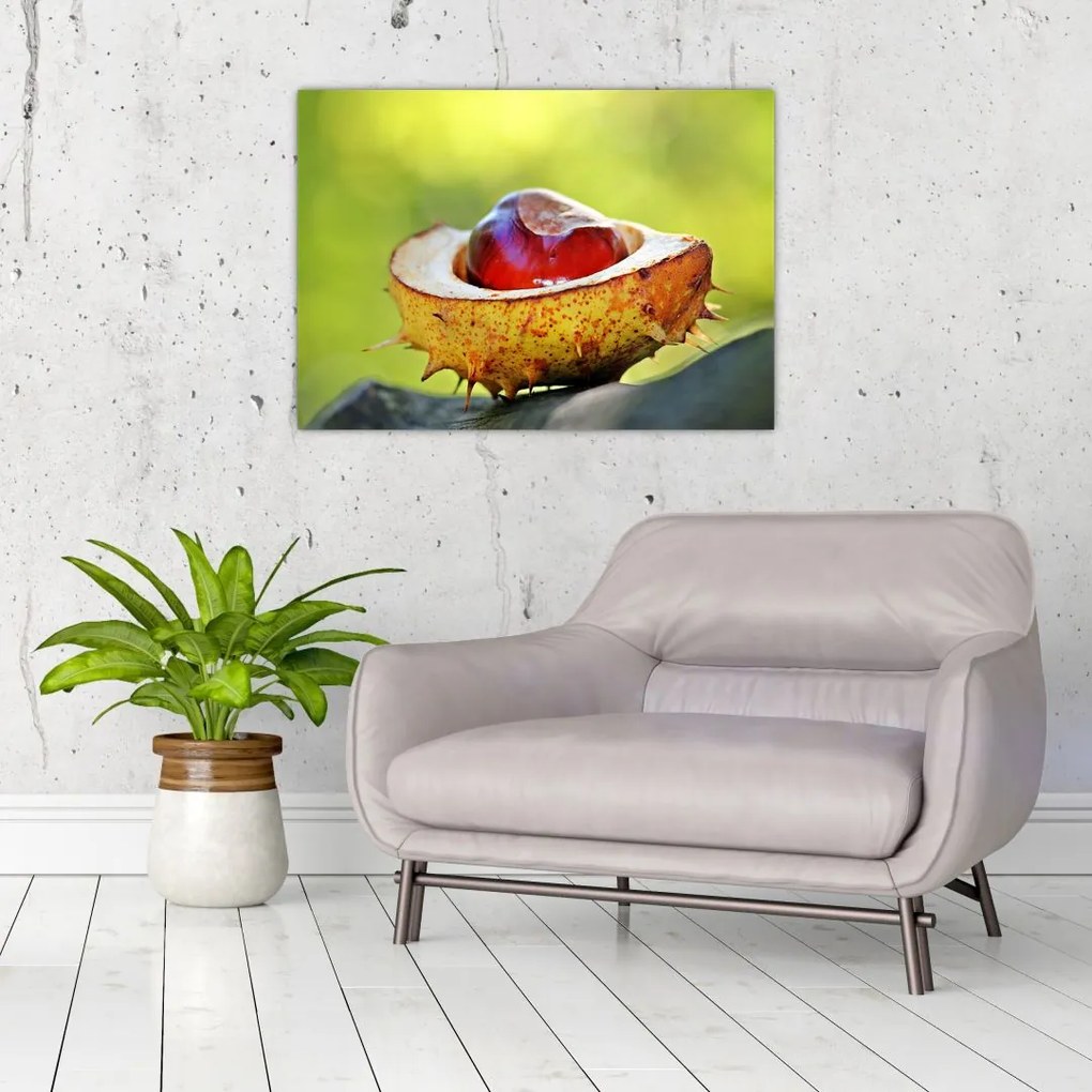 Tablou pe sticlă cu castani (70x50 cm)