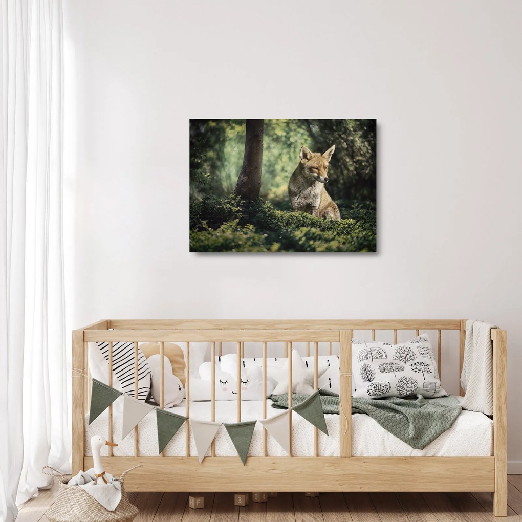 Tablou pe sticlă cu vulpe (70x50 cm)
