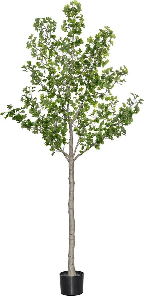 Copac artificial realist Ginko Biloba, dimensiuni multiple - PotteryPots mărimea: XL - ø 50 cm | înălțime 270 cm