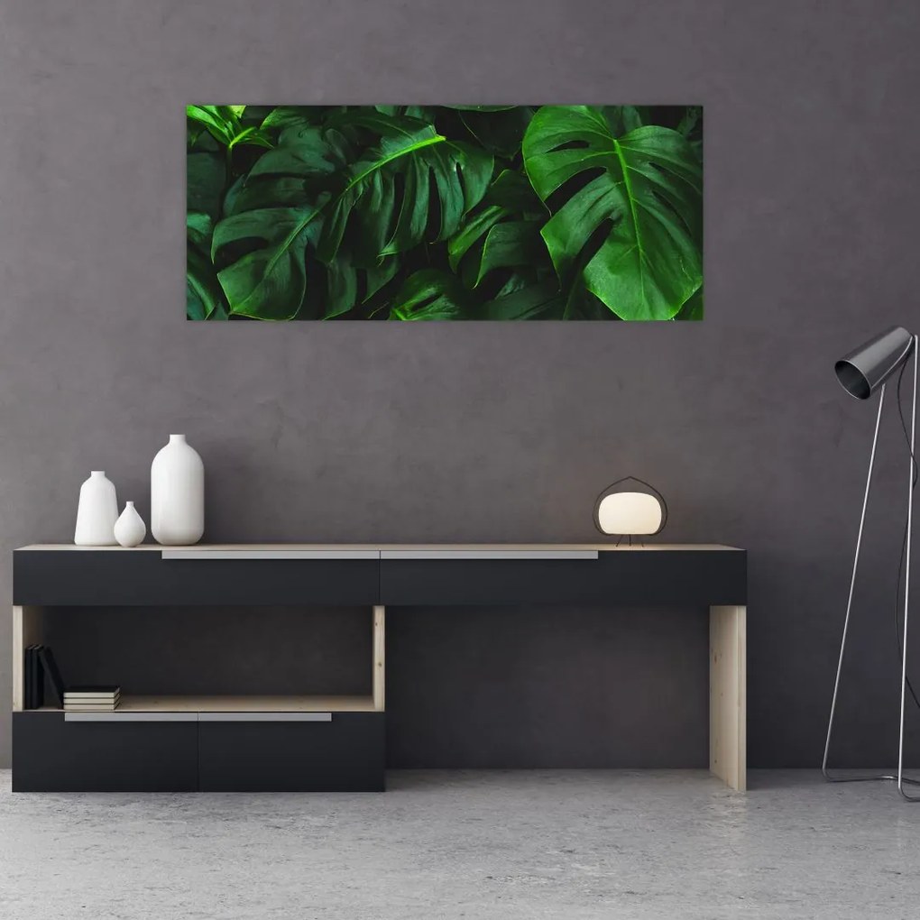 Tablou cu frunze Monstery (120x50 cm)