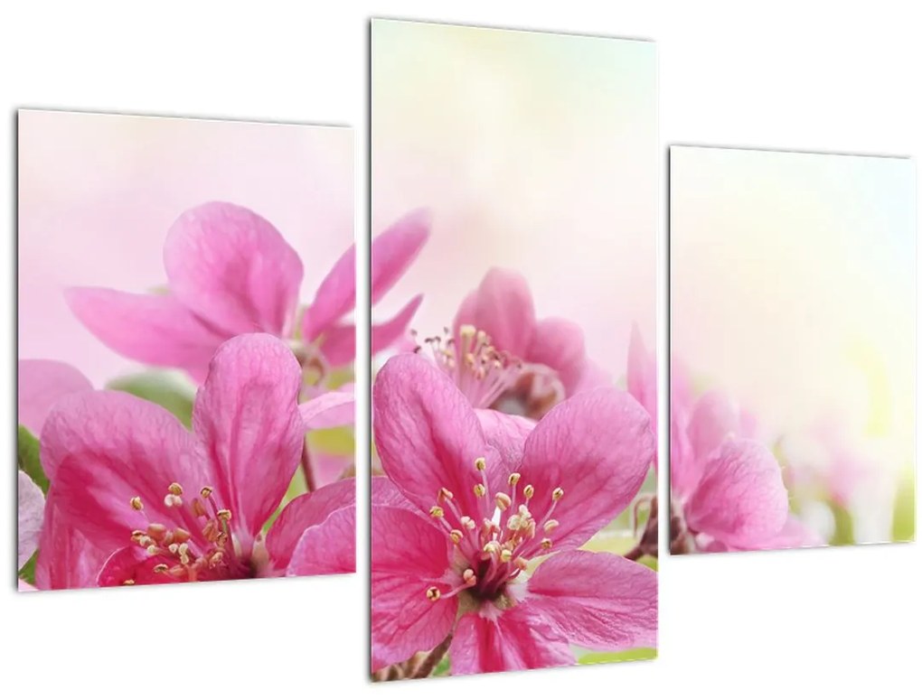 Tablou - Flori roz (90x60 cm)