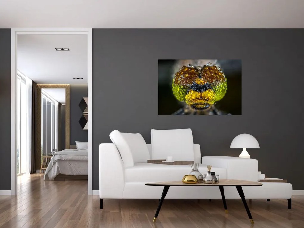 Tablou detailat cu ochii de omidă (90x60 cm)