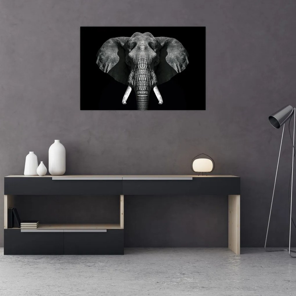 Tablou - Elefant pe fundal negru (90x60 cm)