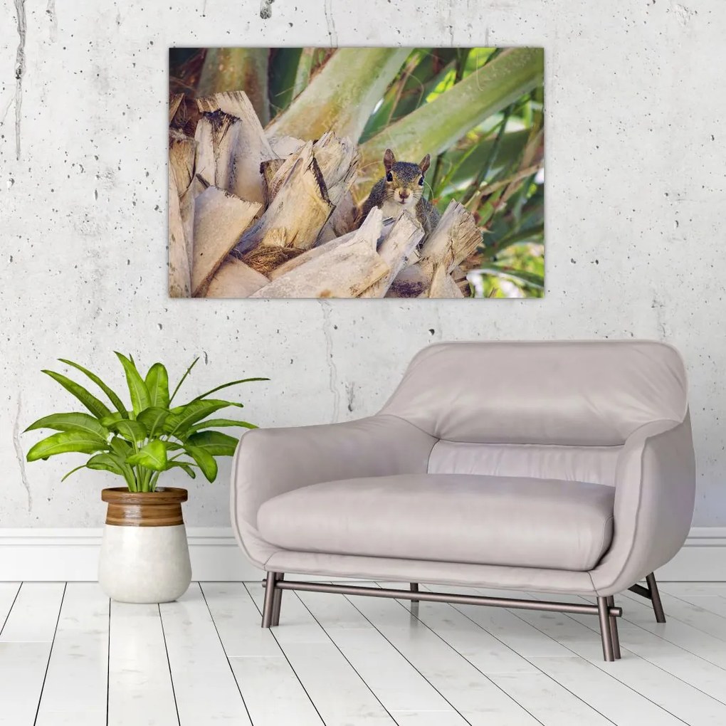 Tablou cu veverița în copaci (90x60 cm)