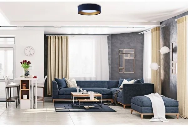 LED Plafonieră GALAXY 1xLED/24W/230V albastru/auriu