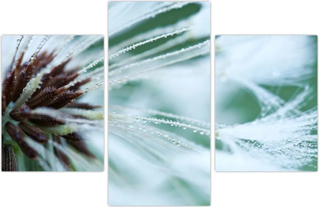 Tablou - Detaliu floare (90x60 cm)