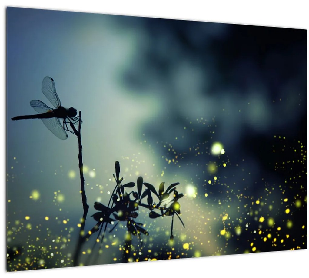 Tablou - Libelula în noaptea strălucitoare (70x50 cm)