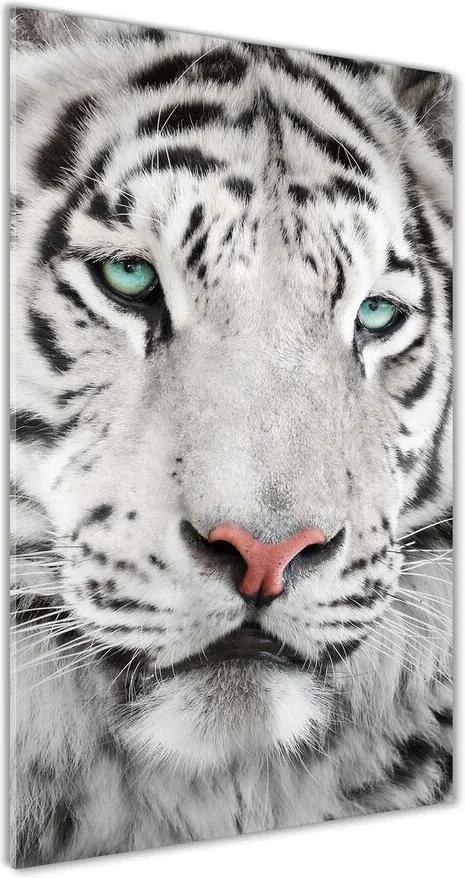 Tablou sticlă Tigru alb