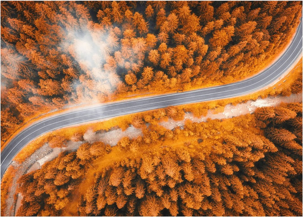Tablou - Strada montană (70x50 cm)