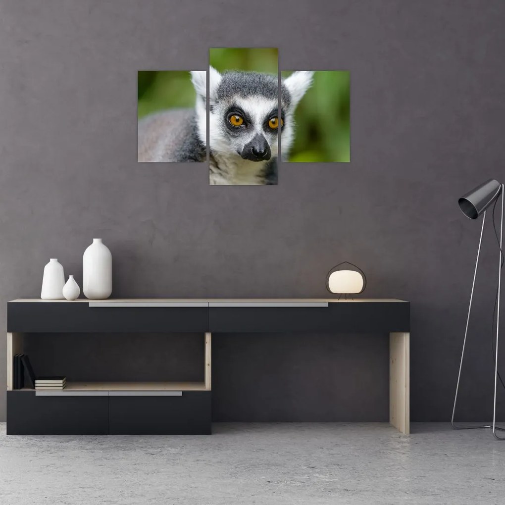 Tablou cu lemur (90x60 cm)