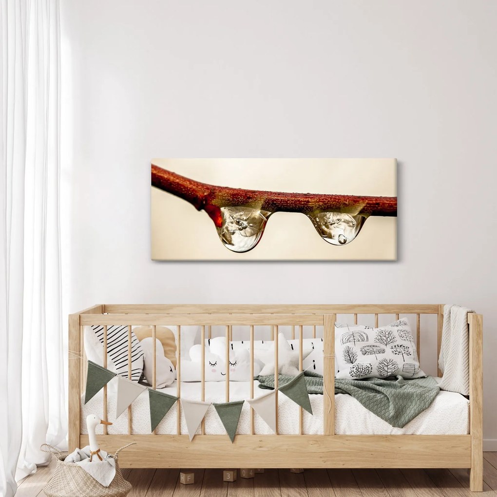 Tablou cu picături de apă pe creangă (120x50 cm)