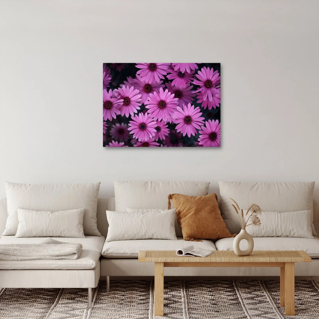 Tablou cu florile roz (70x50 cm)