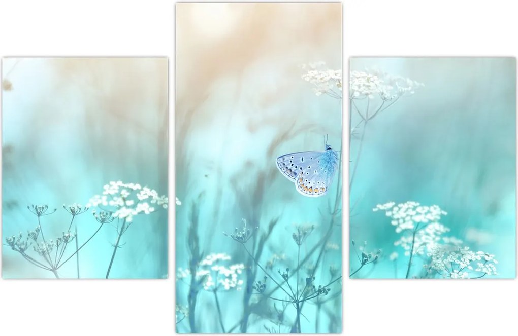 Tablou - Fluture în albastru (90x60 cm)