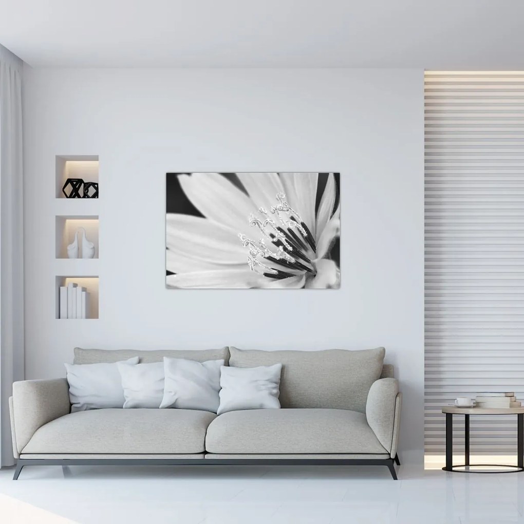 Tablou - Floare albă și neagră (90x60 cm)