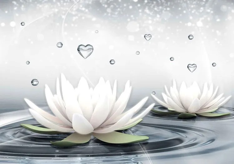 White Lotus Drops Hearts Water Fototapet, (104 x 70.5 cm)