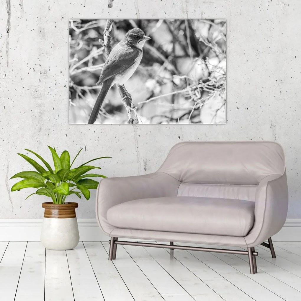 Tablou - Bluebird în timpul iernii (90x60 cm)
