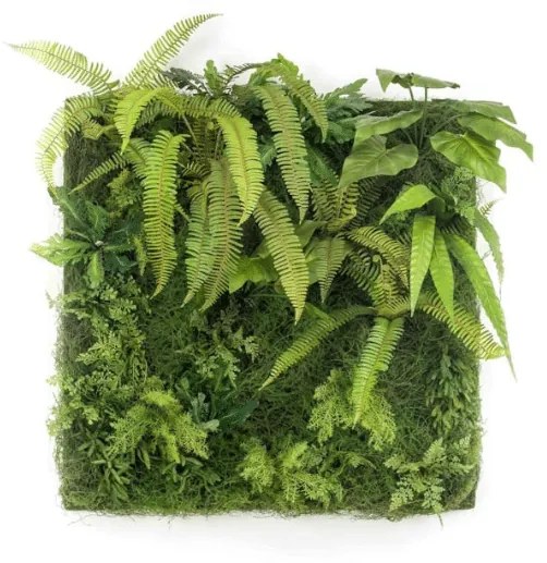 Perete artificial - Living Wall - 100 x 100 cm