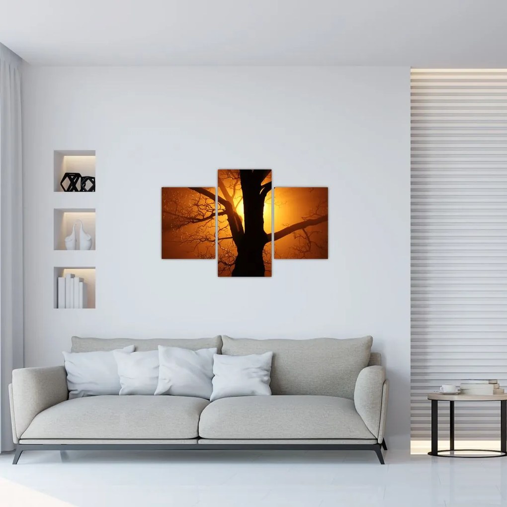 Tablou cu copac în apus de soare (90x60 cm)