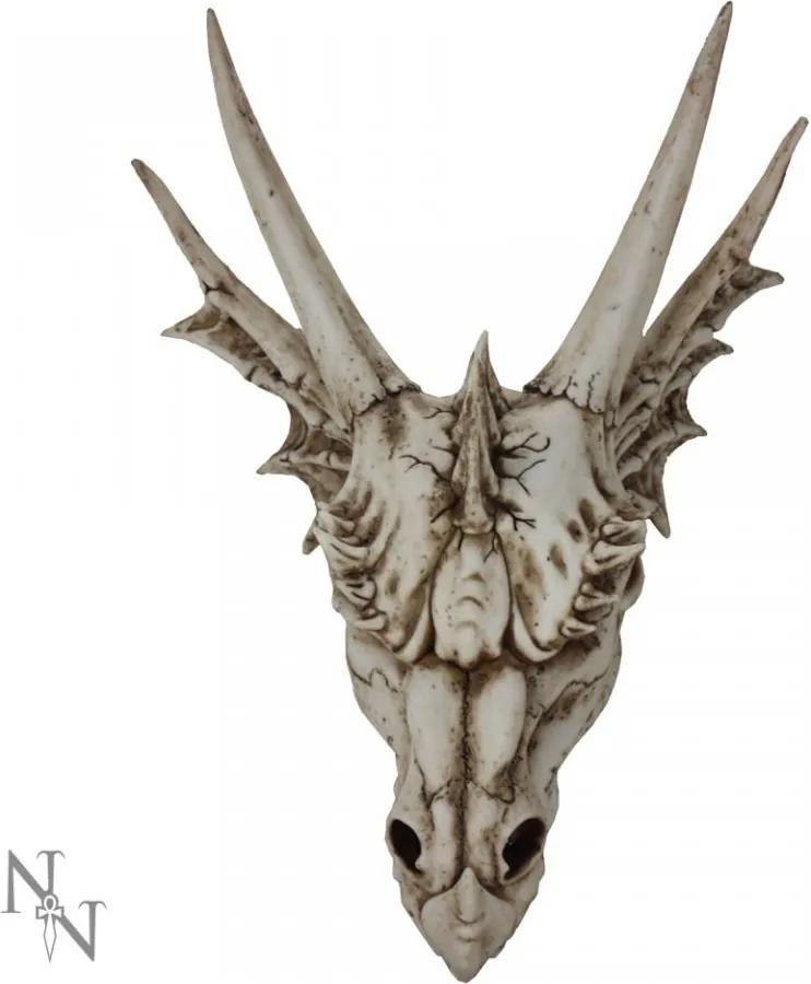 Statueta Craniu de dragon 32 cm