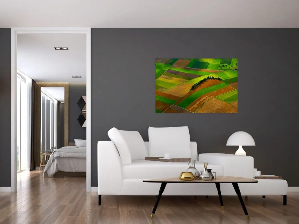 Tablou - Lan, luncile (90x60 cm)