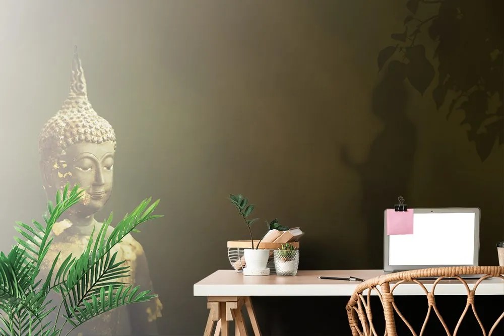 Tapet Buddha și reflecția lui