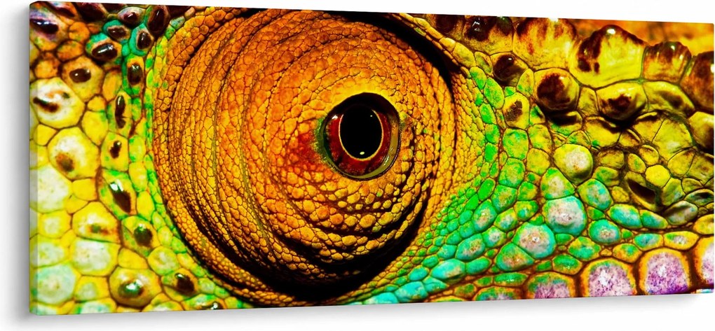 Tablou - Cameleon (120x50 cm)