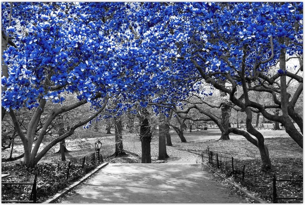 Tablou - Copaci albaștri Central Park, New York (90x60 cm)
