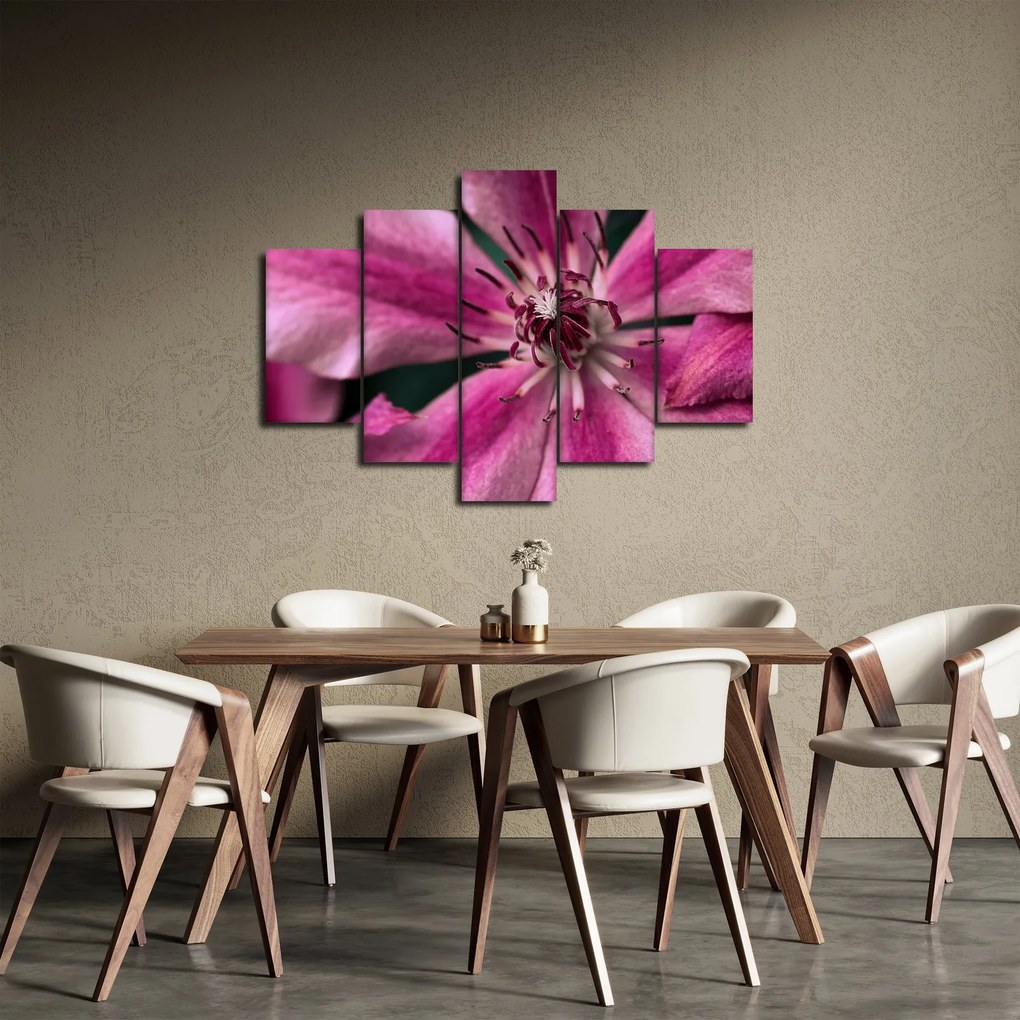 Tablou cu floarea roz de clematis (150x105 cm)