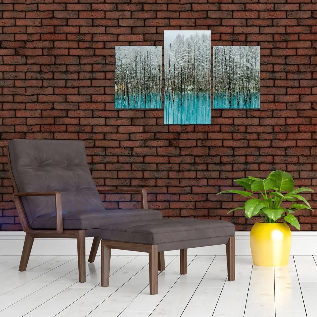 Tablou - Pescărie turcoaz, Biei, Japonia (90x60 cm)